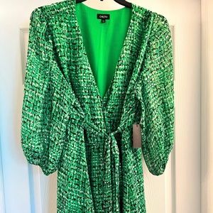 This beautiful green printed Cheztu dress is stunning